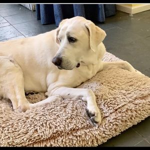 Meet your Posher, Jane